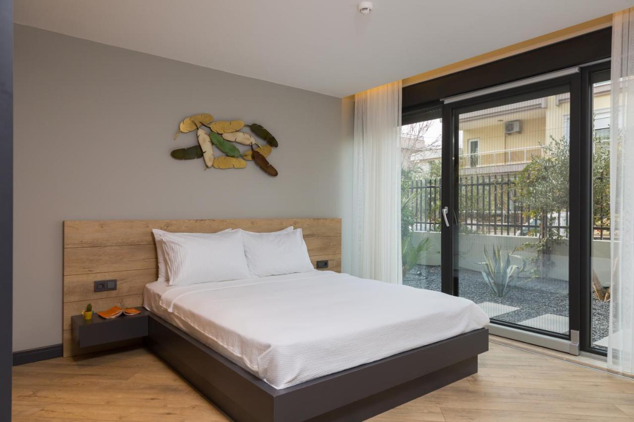Z-suites *
